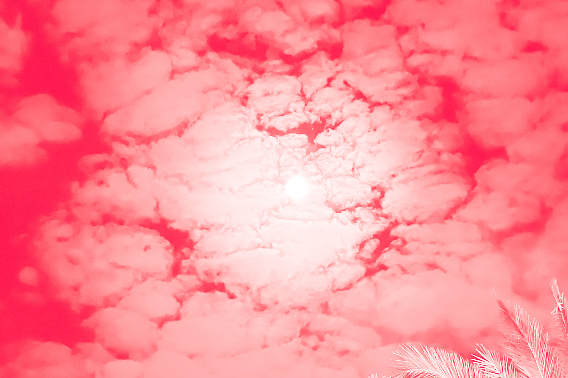 La pleine lune dans un ciel rose