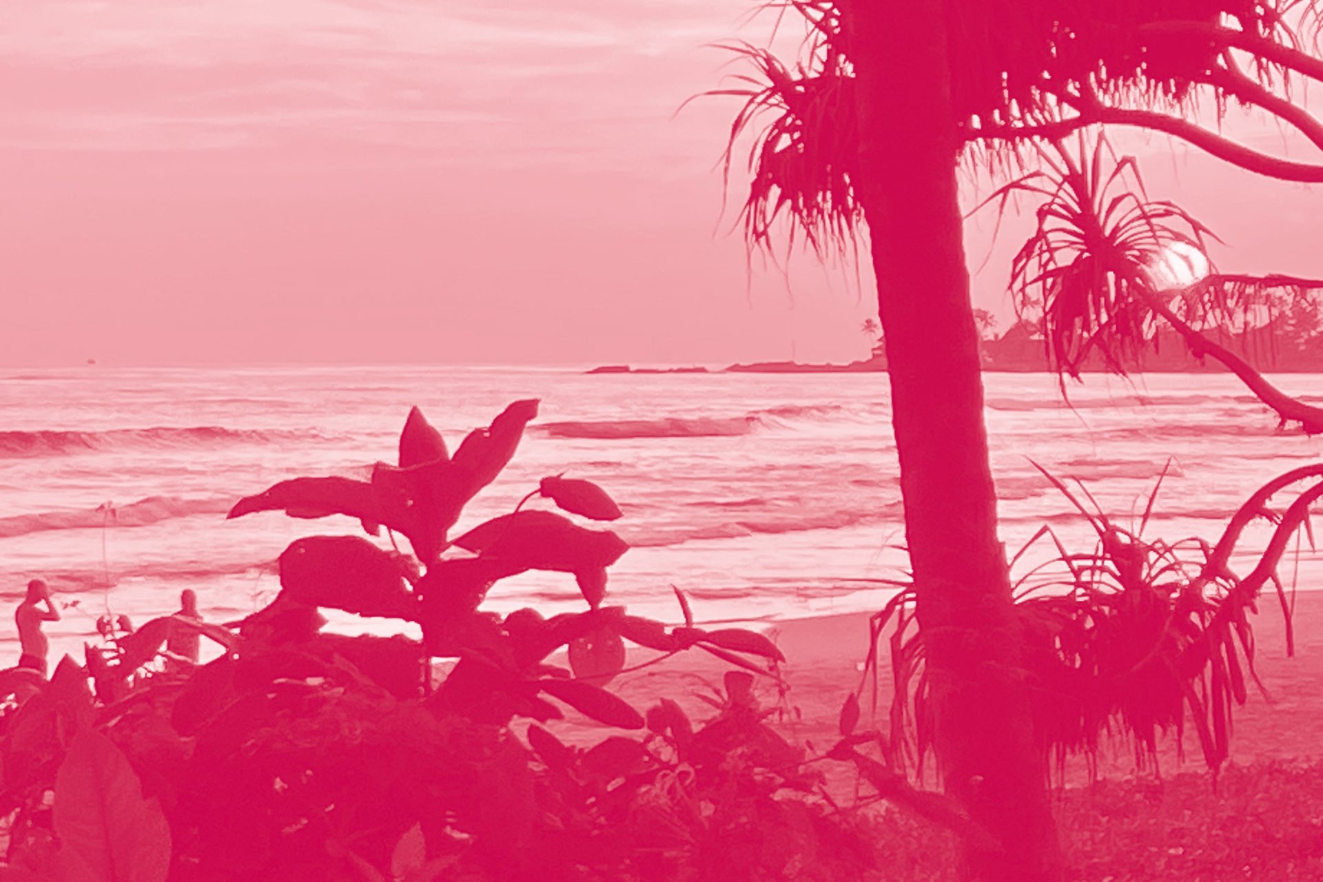 Photo de la plage au Sri Lanka à travers les arbres on y voit la mer. Un bilan 2023 Par Ashtangi Nomad