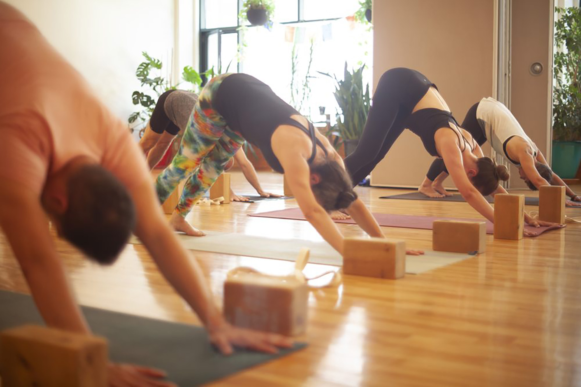 Ashtanga Yoga Montreal Ashtanga Yoga Montreal Studio