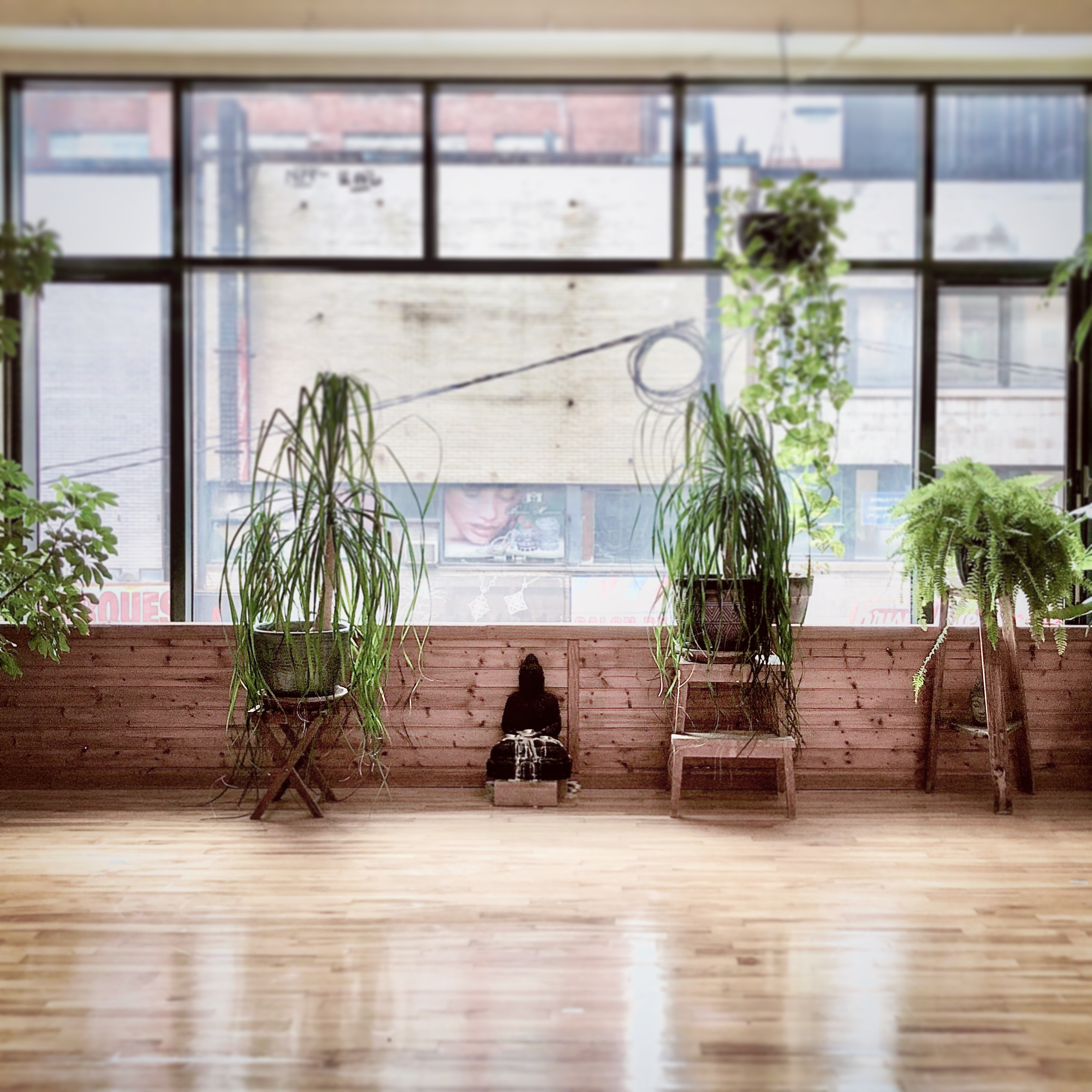 Ashtanga Yoga Montreal_Ashtangi Nomad Ashtanga Yoga Montreal Studio