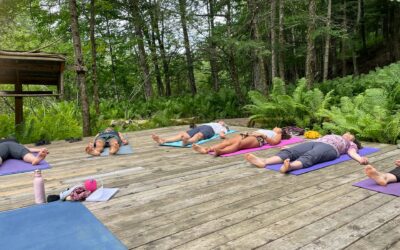 Auberge Yoga Salamandre