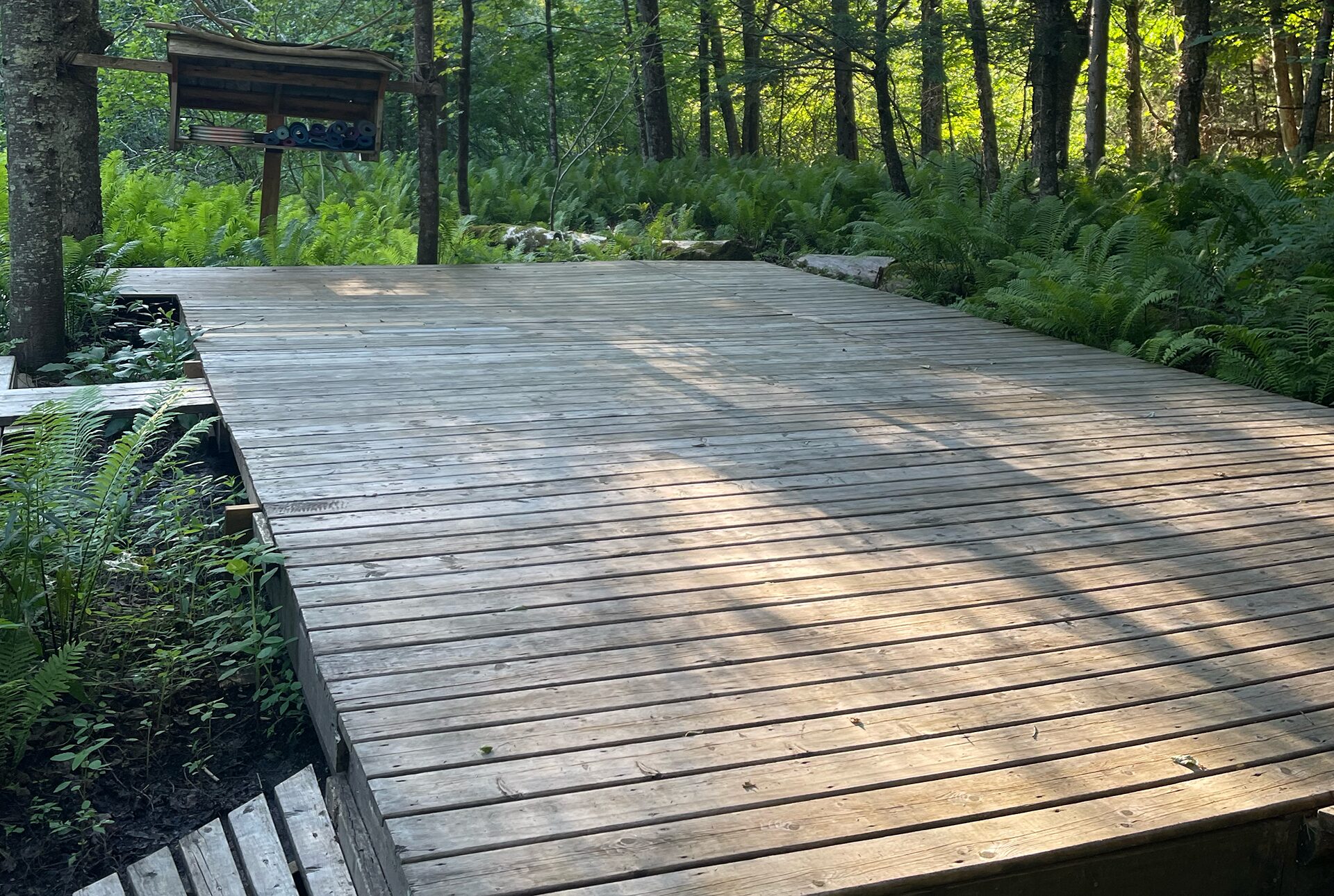 Vue de la plateforme de Yoga pendant une pratique à l'auberge Yoga Salamandre