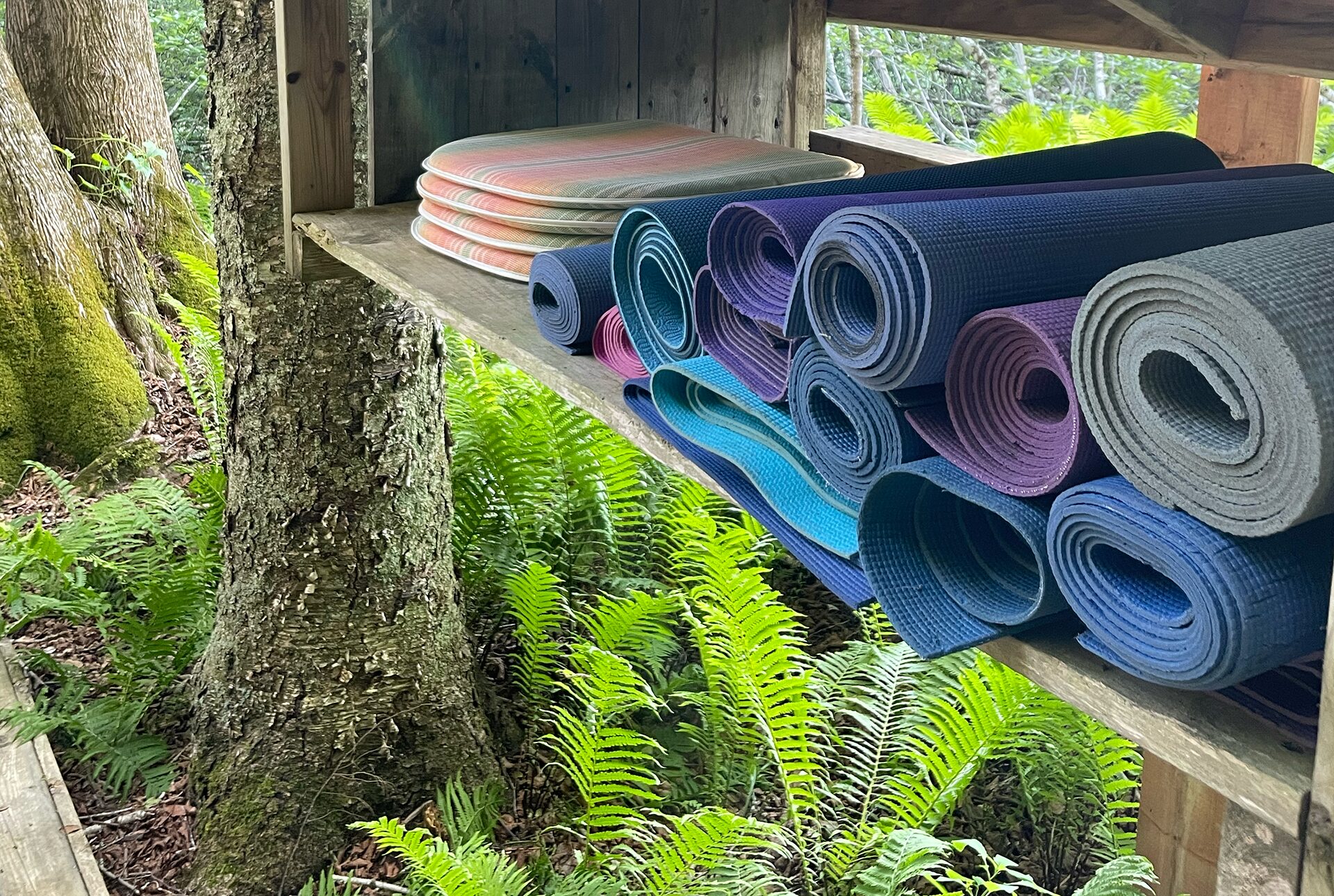 Tapis de Yoga à l'auberge Yoga Salamandre